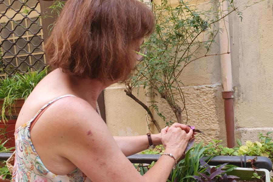 Balade buissonnière, la biodiversité en ville