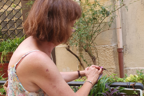 Balade buissonnière, la biodiversité en ville - photo 5