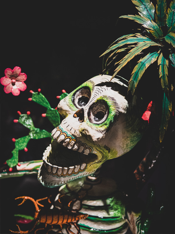 Visite individuelle commentée - Spécial Día de los Muertos