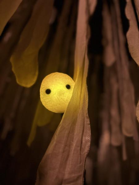 (É)Mouvoir_Espace Paul Jargot Crolles