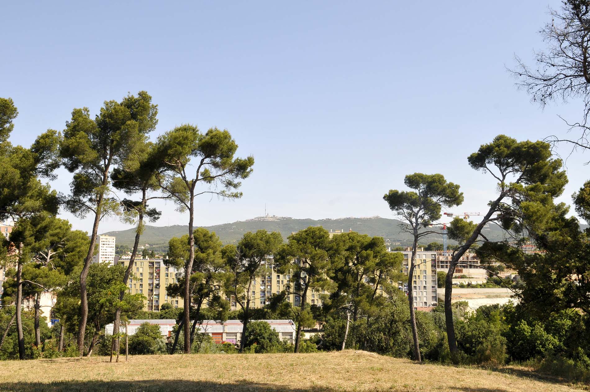 Parc Saint-Théodore - Ville de Marseille