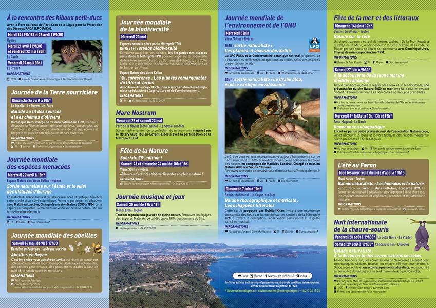 À la rencontre des hiboux petit-ducs - Les rendez-vous biodivertissants de la Métropole_Hyères