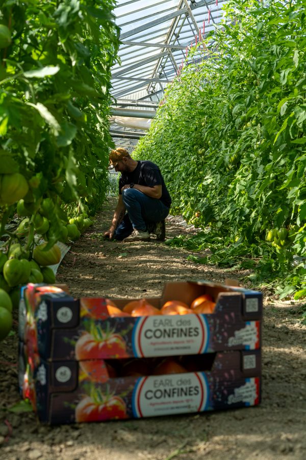 La Récolte des Confines - photo 5