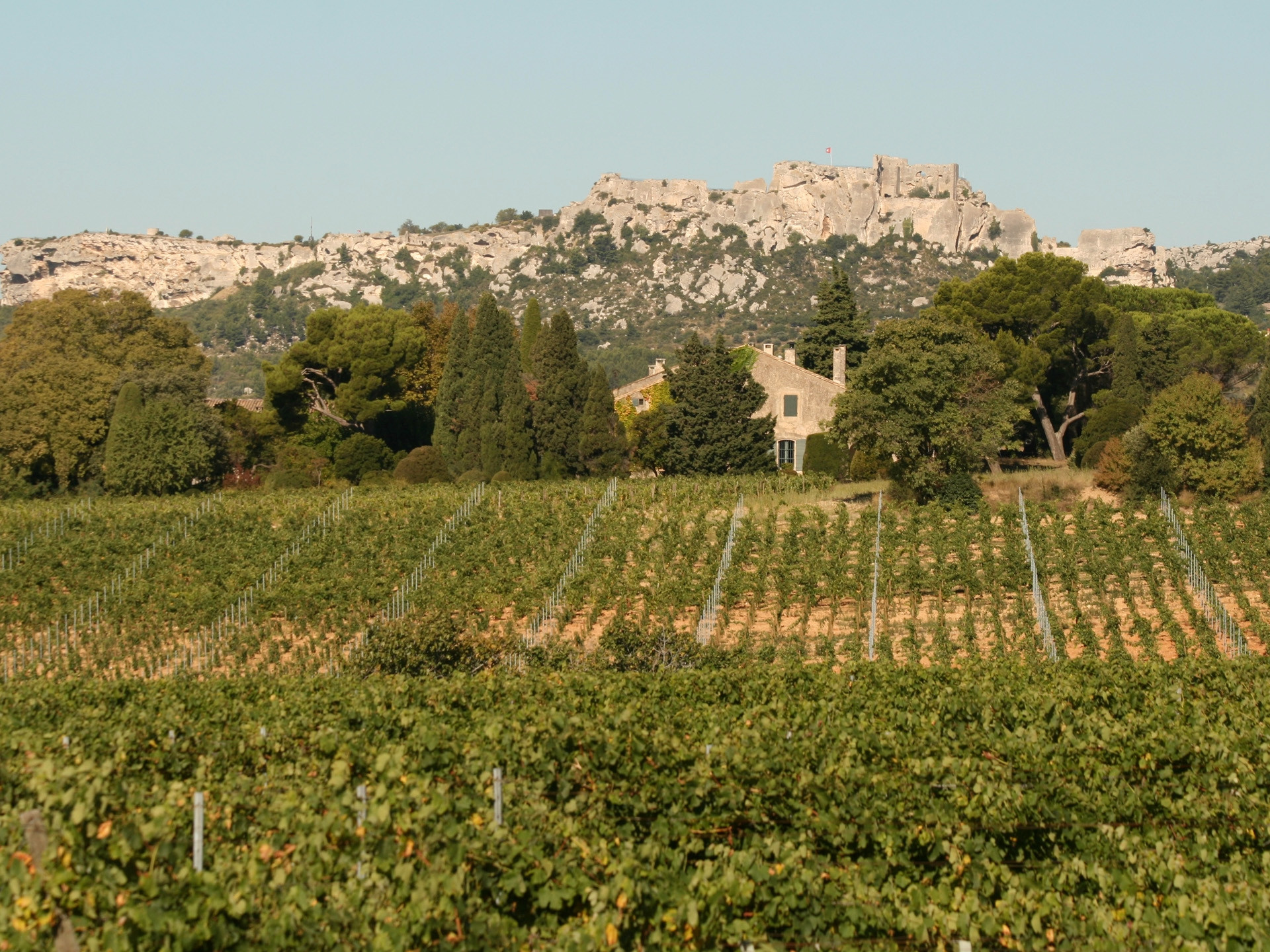 Mas de la Dame, Les Baux-de-Provence - photo 9