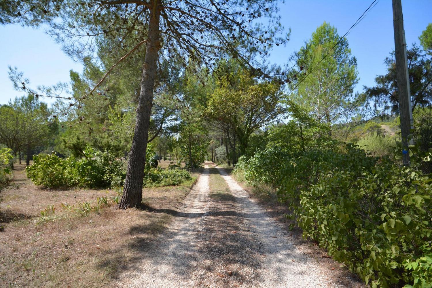 Hémérocalles, Vauvenargues - photo 3