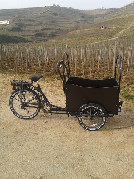 Triporteur Fabien Louis