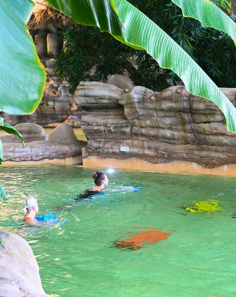 Cours d'aquafitness_Avoriaz