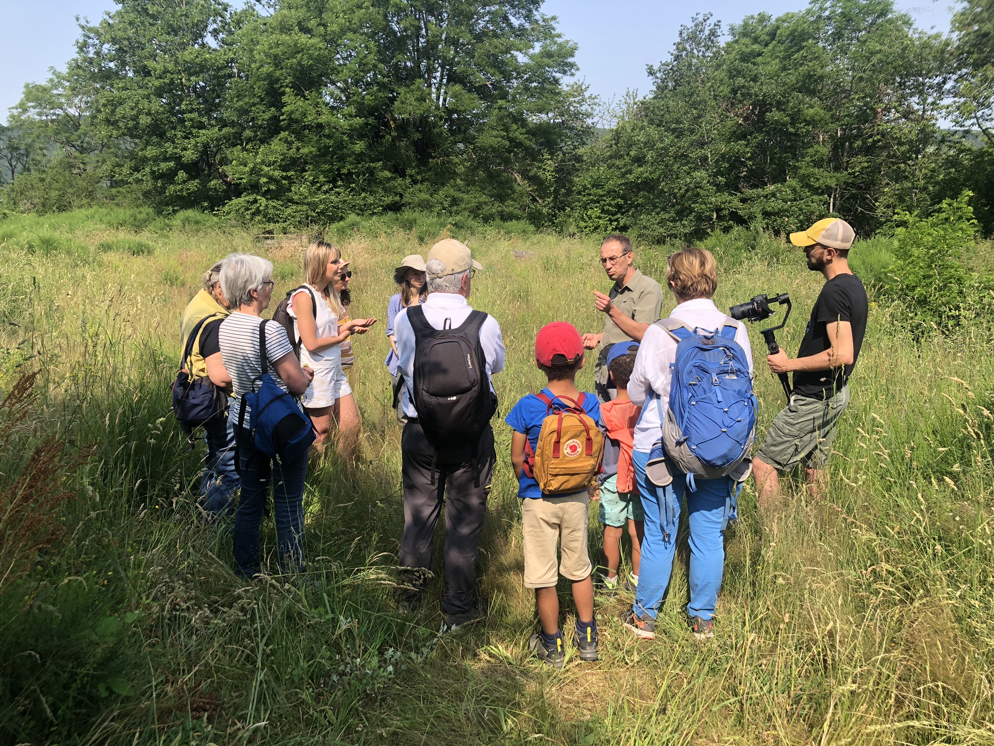 Balade commentée et cueillette de plantes (à tisane)