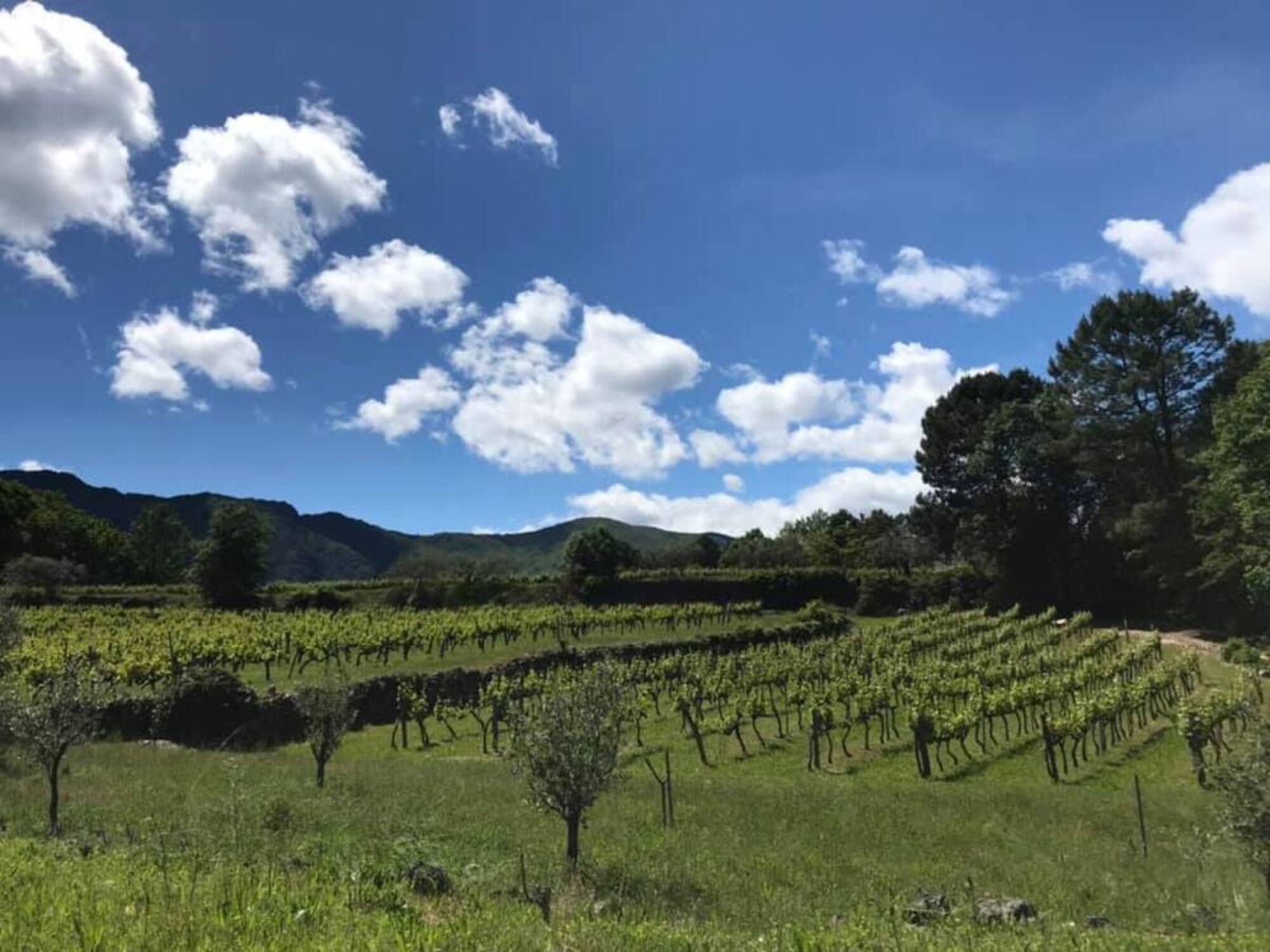 La clef du bonheur 2