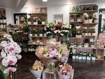 Plaisir Fleuri - Villeneuve-Loubet