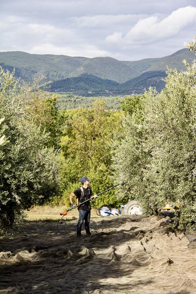 Moulin à Huile & Domaine Bastide du Laval_Cadenet