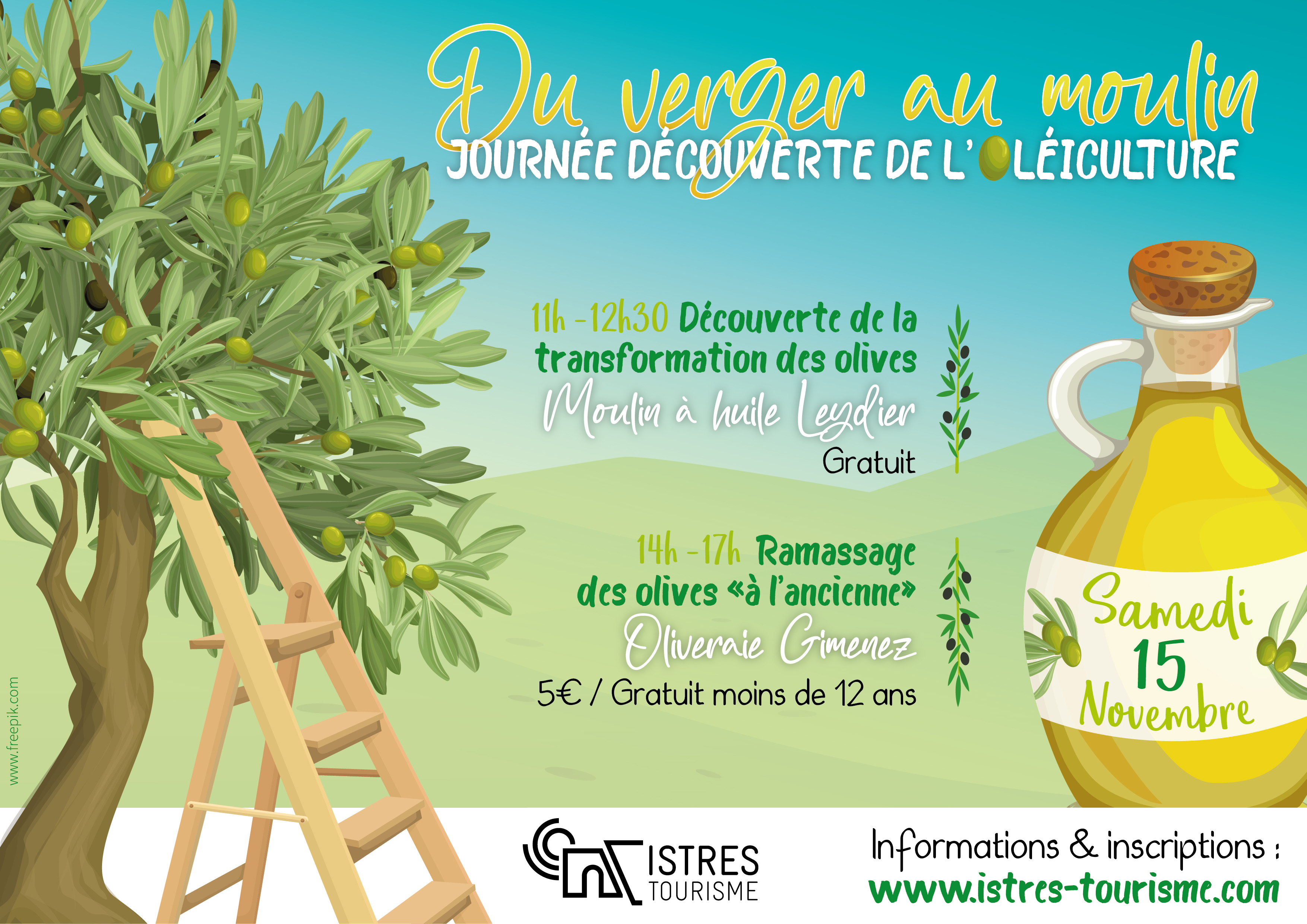 Découverte de l'Oliveraie Gimenez et ramassage "à l'ancienne"