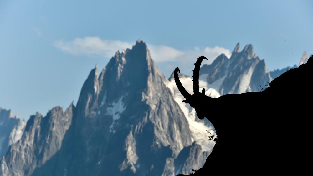 Day hike - Compagnie des Guides Chamonix
