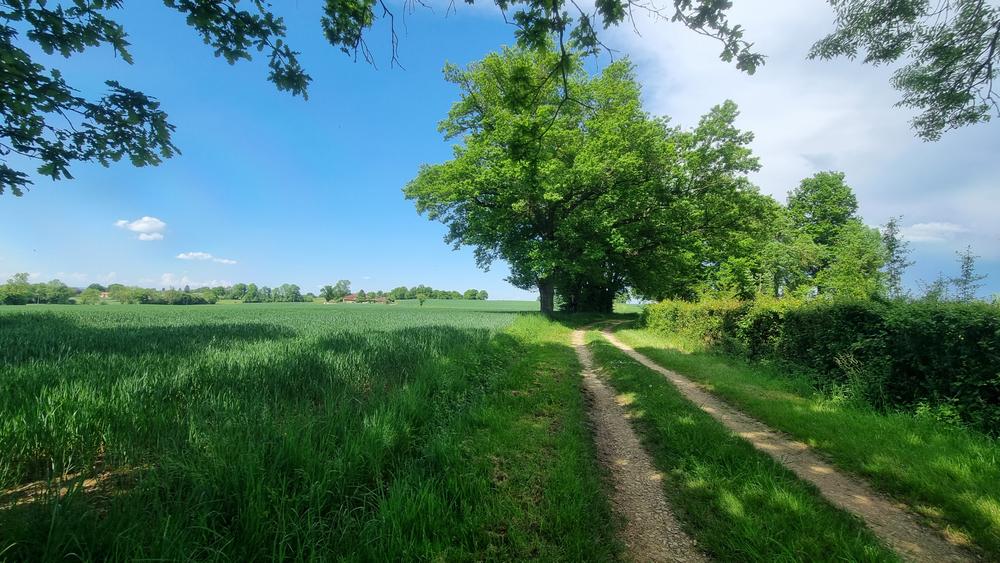 Circuit VTT n°24 (rouge) - La St Martin_Montrevel-en-Bresse