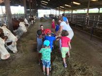 Visite commentée de la ferme de l'Abbaye