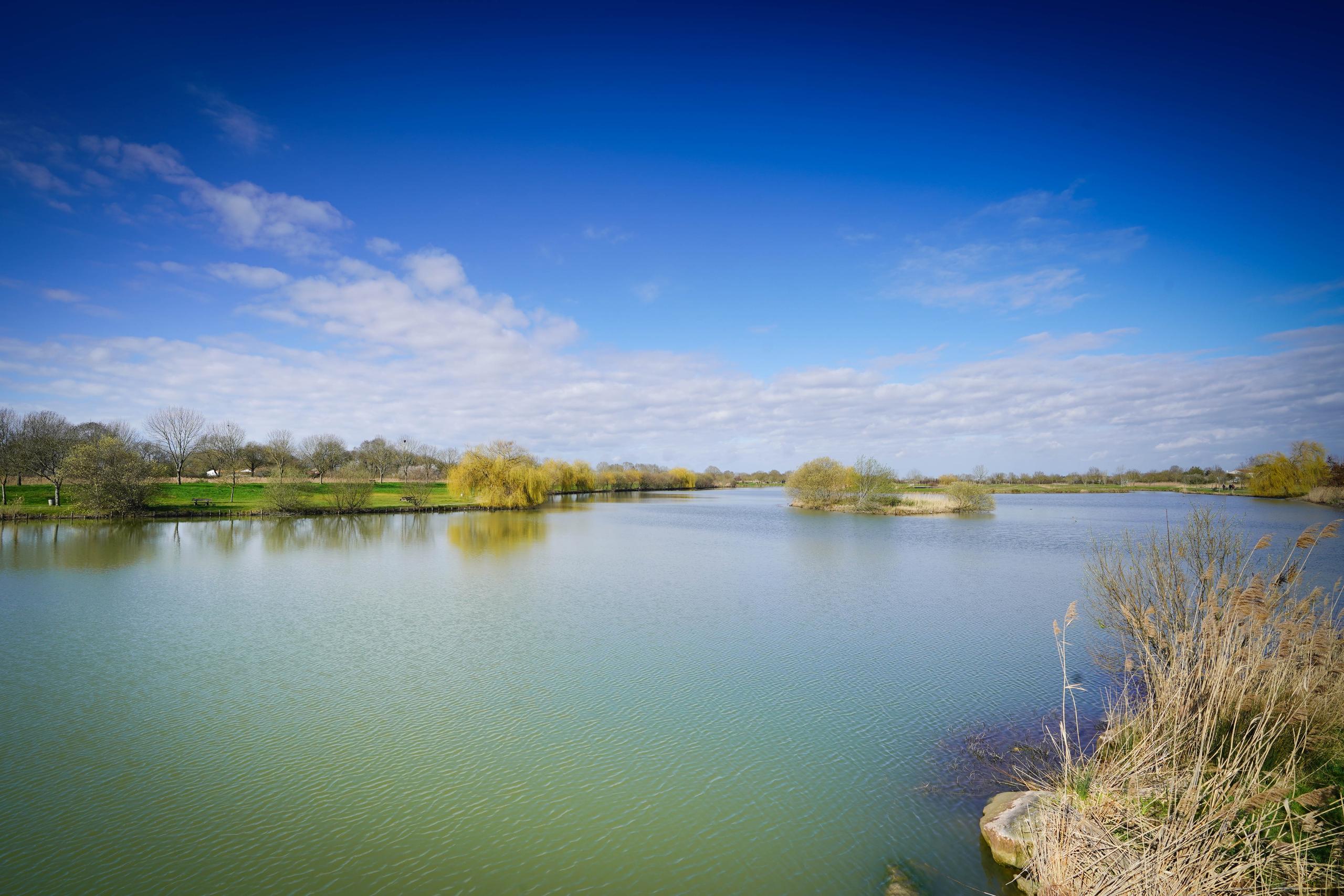Découverte de la passe à la civelle
