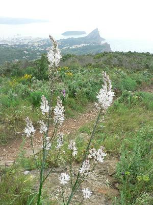 394m au dessus de la mer