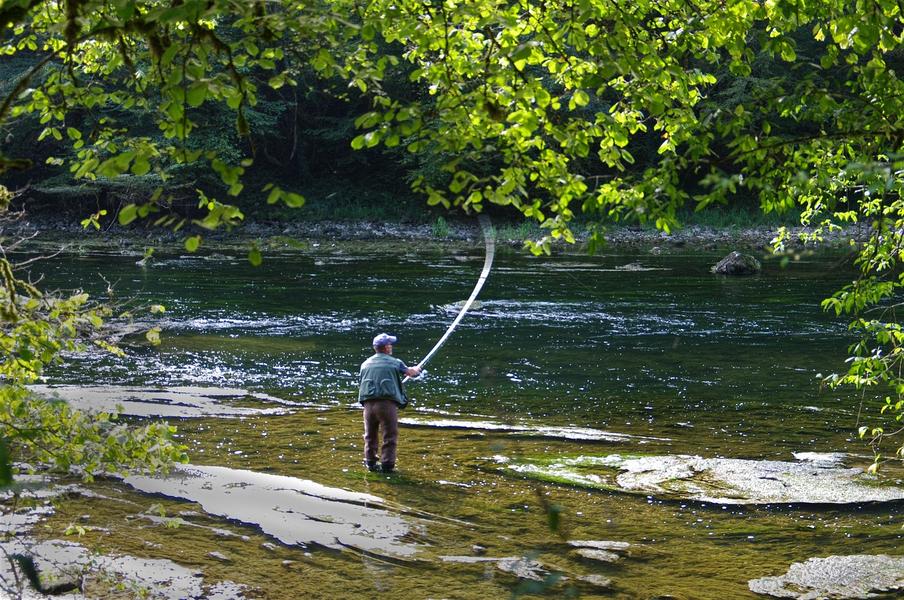 Ouverture de la saison de pêche 2025_Veynes - © Image par Walter Frehner de Pixabay Ouverture de la saison de pêche 2025_Veynes - © Image par Walter Frehner de Pixabay