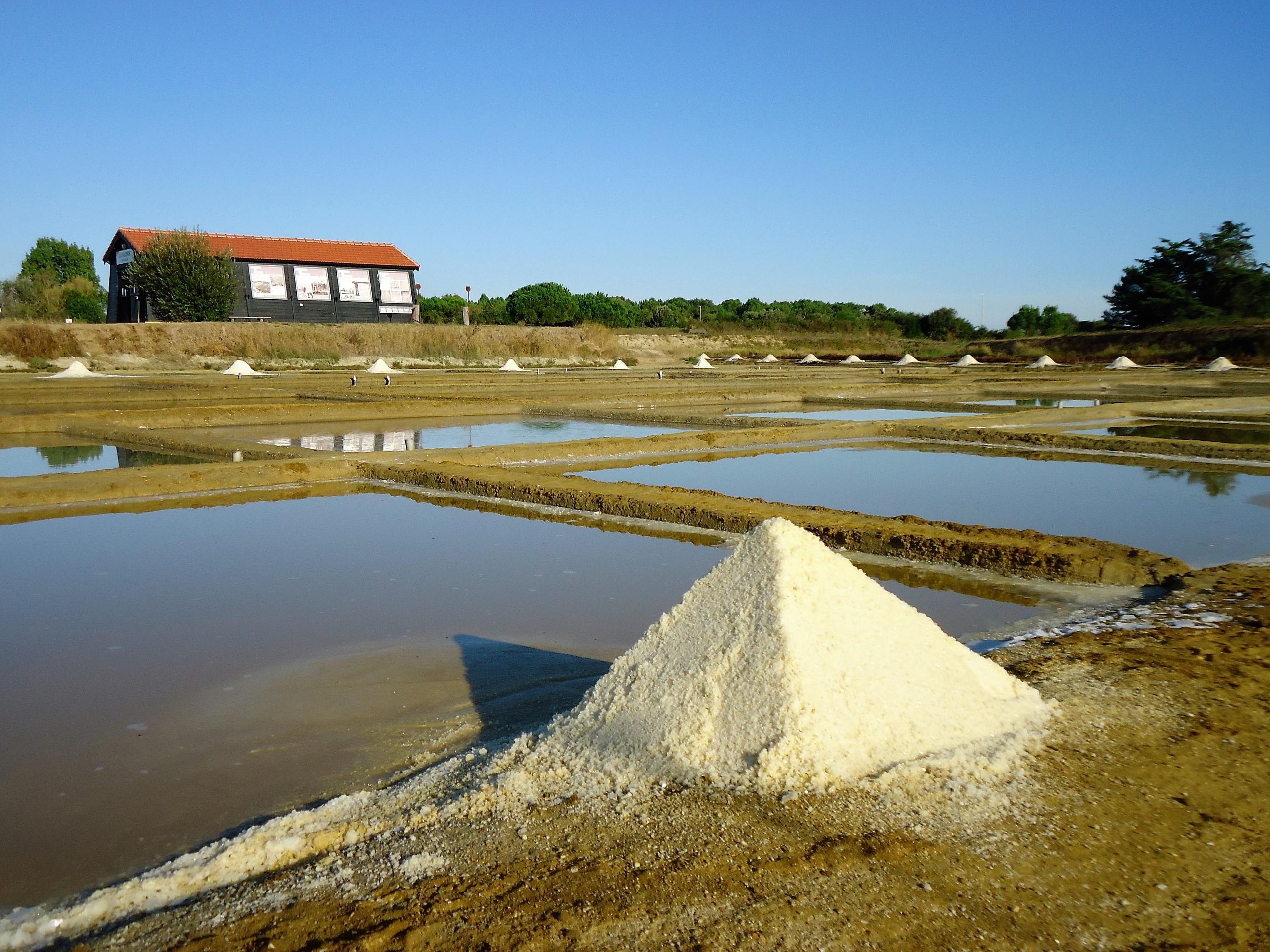 Fête de la science au Port des Salines