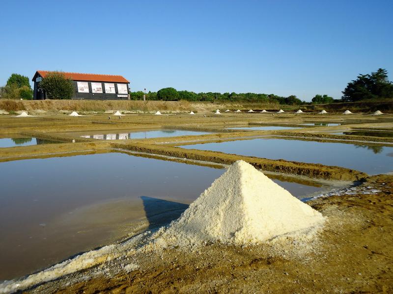 Fête de la science au Port des Salines