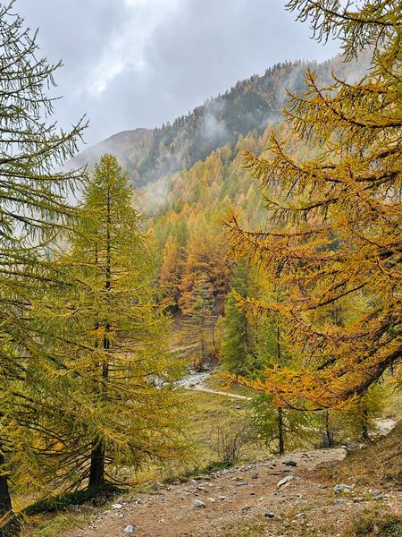 Le lac vert_Névache