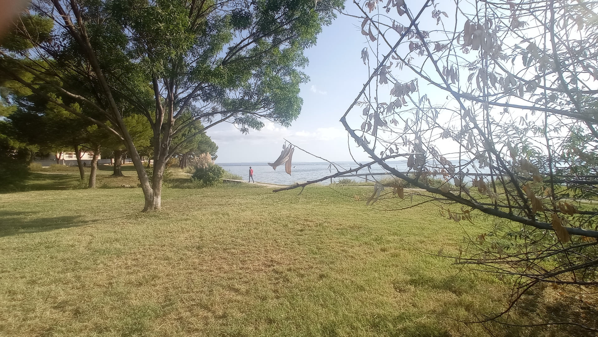 Parc de La Rode - photo 2