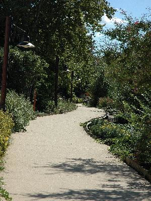 Chemin Entre Deux Eaux