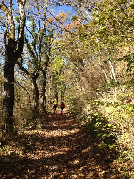 Randonnée Le Grand Colombier depuis Culoz