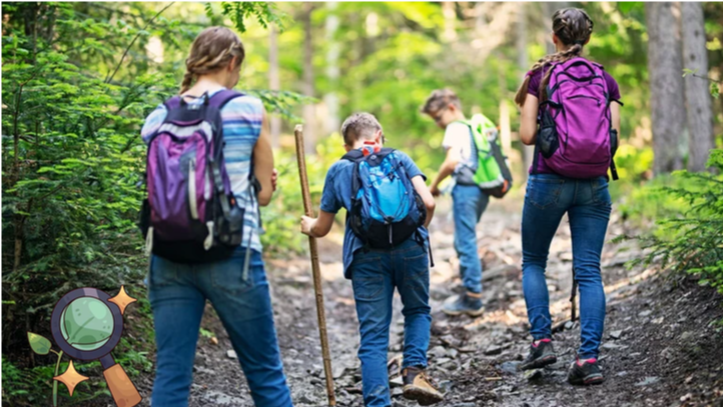 Atelier 7-13 ans : Balade buissonnière au Marais de Lavours