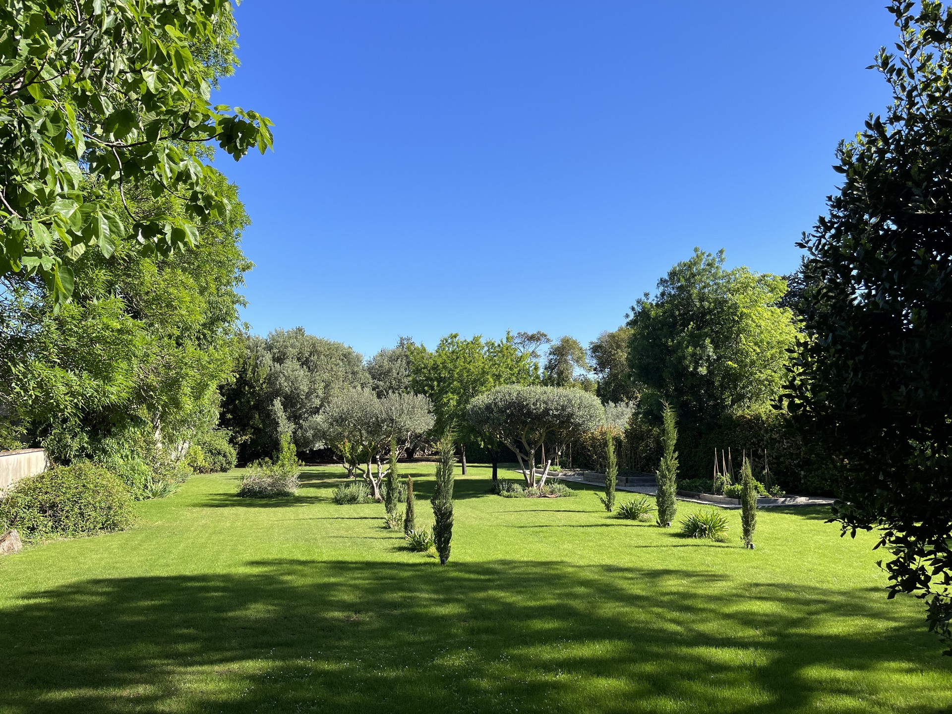 Mas Calao Provence, Fontvieille - photo 5
