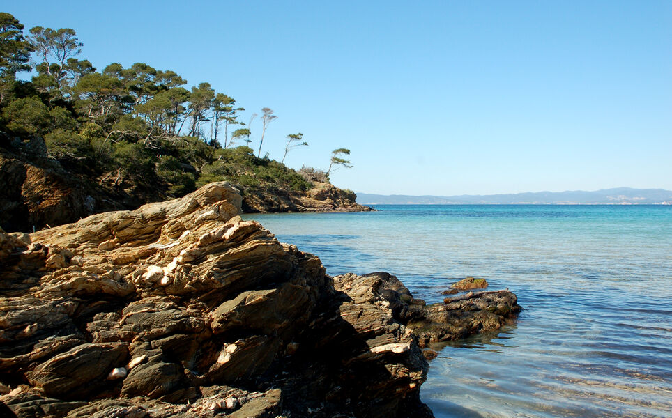 La plage Notre Dame - ile de porquerolles - hyeres