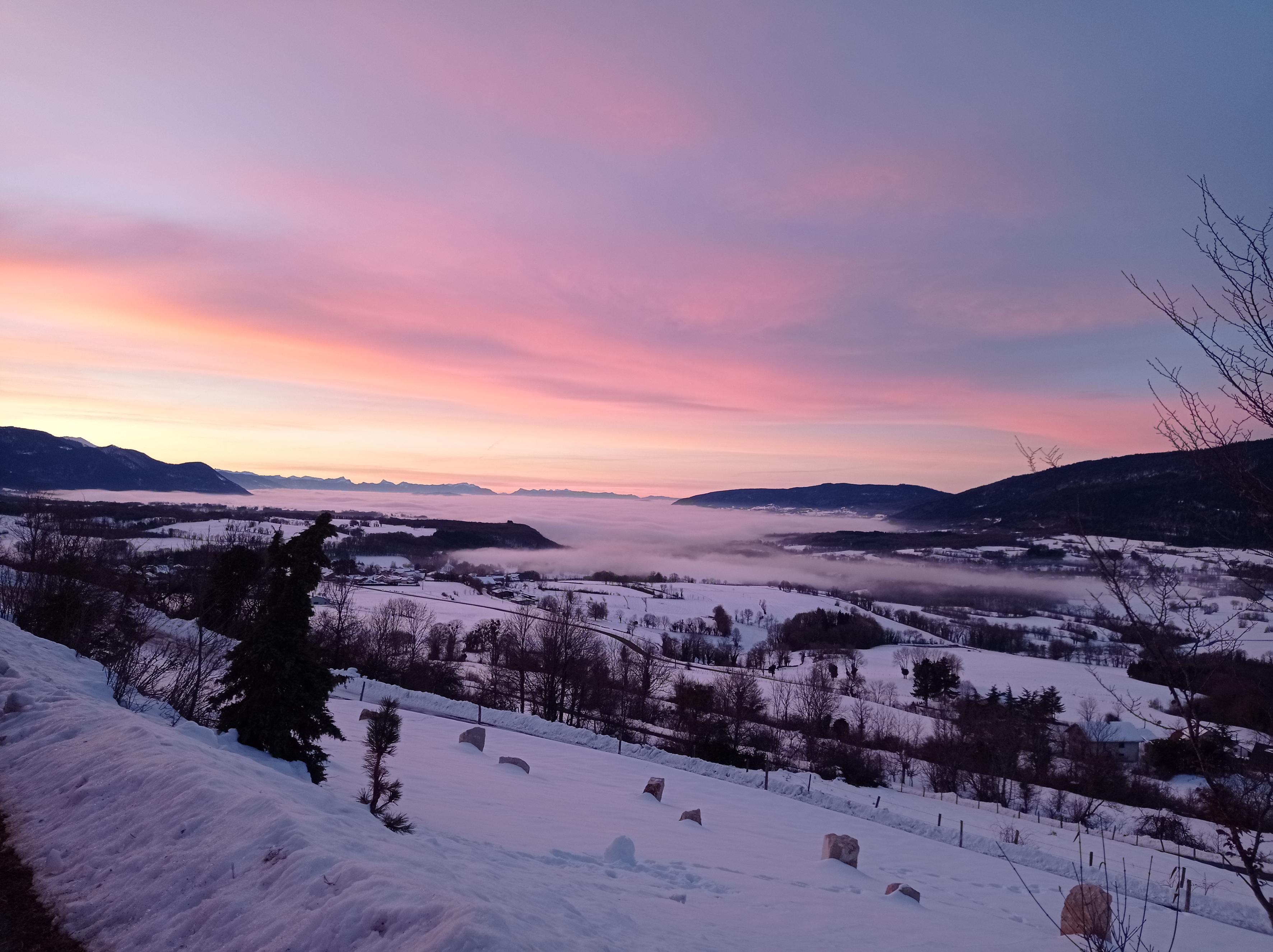 Bapt�me en tra�neau � chiens avec Symbiose chien polaire