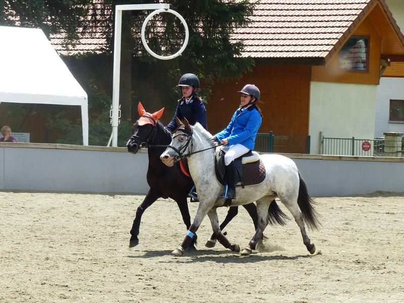 Centre équestre de Thônes