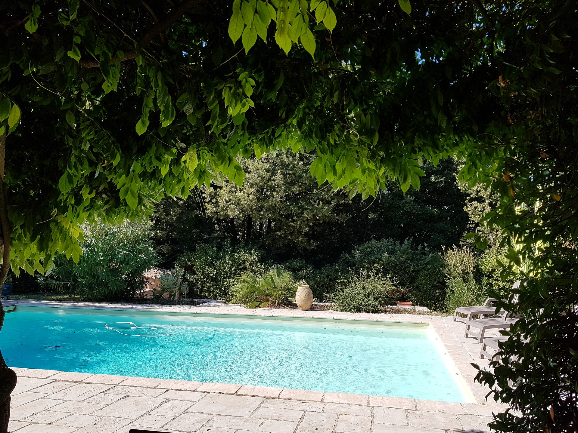 La Bosque, Venelles - photo 4