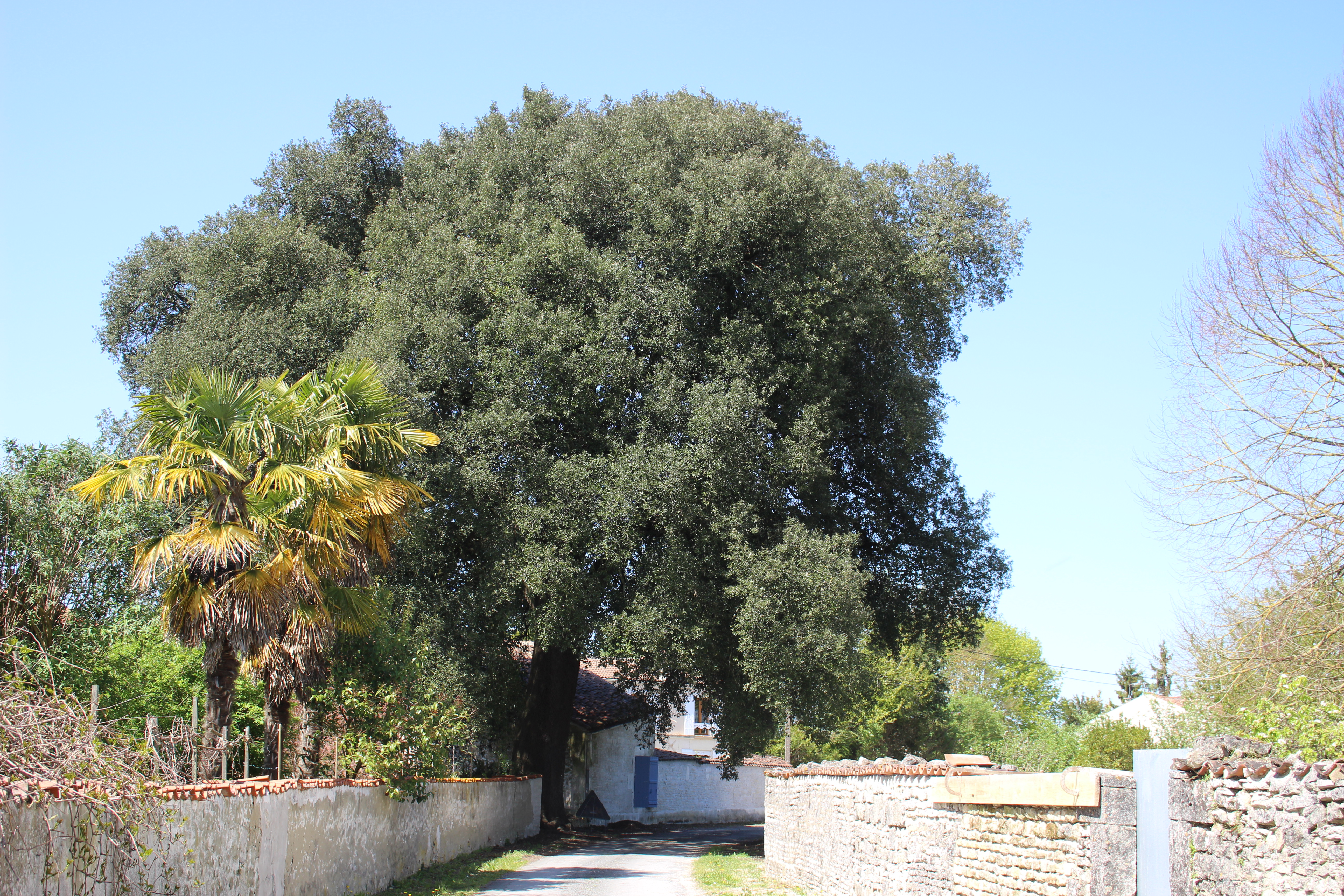 Circuit Explorer autrement Aumagne - Chagnon