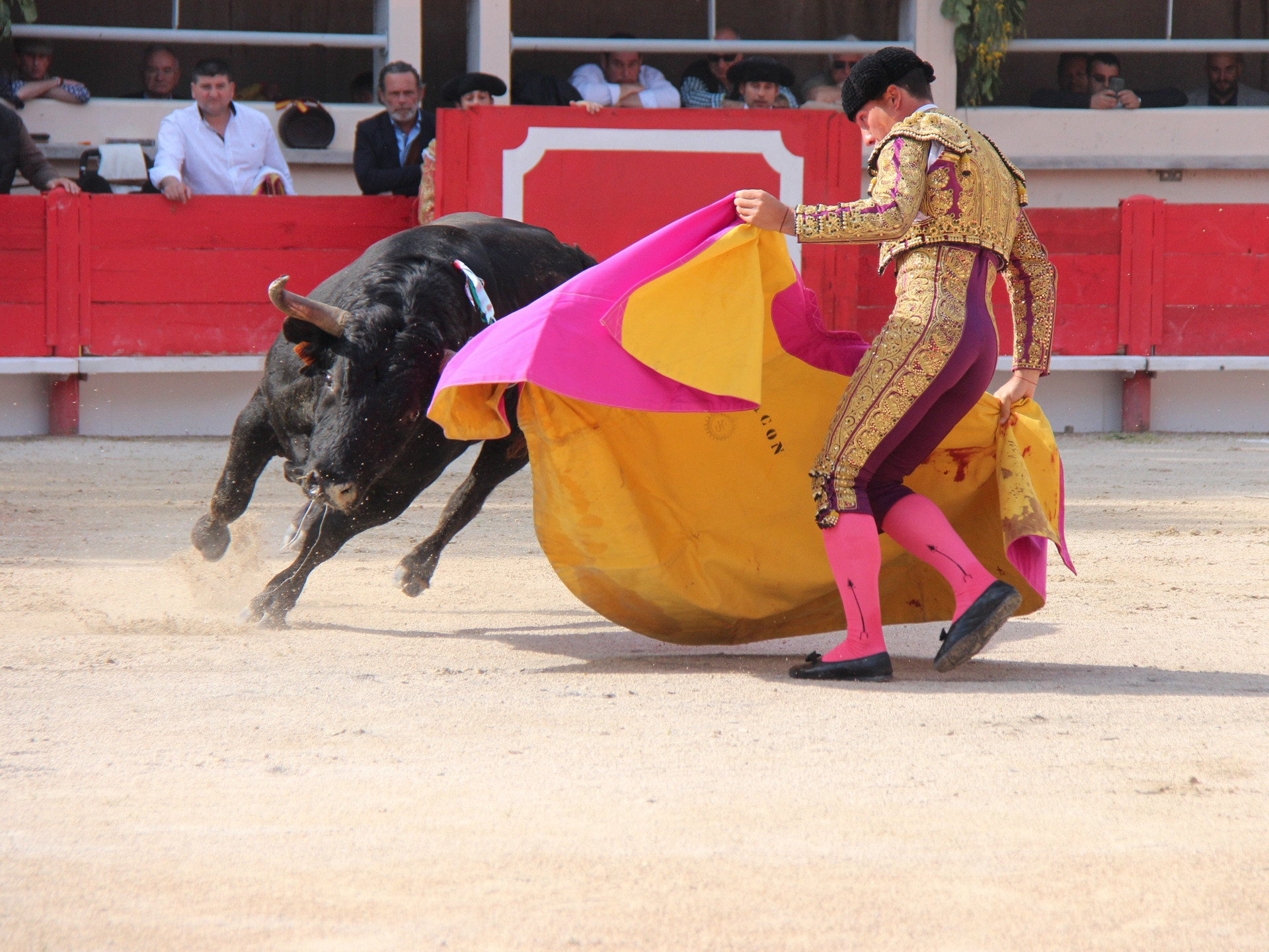 Feria de la Crau