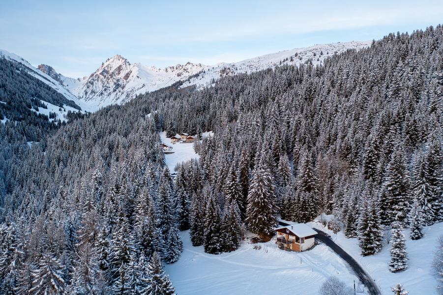 Chalet du Bresson_La Plagne Tarentaise