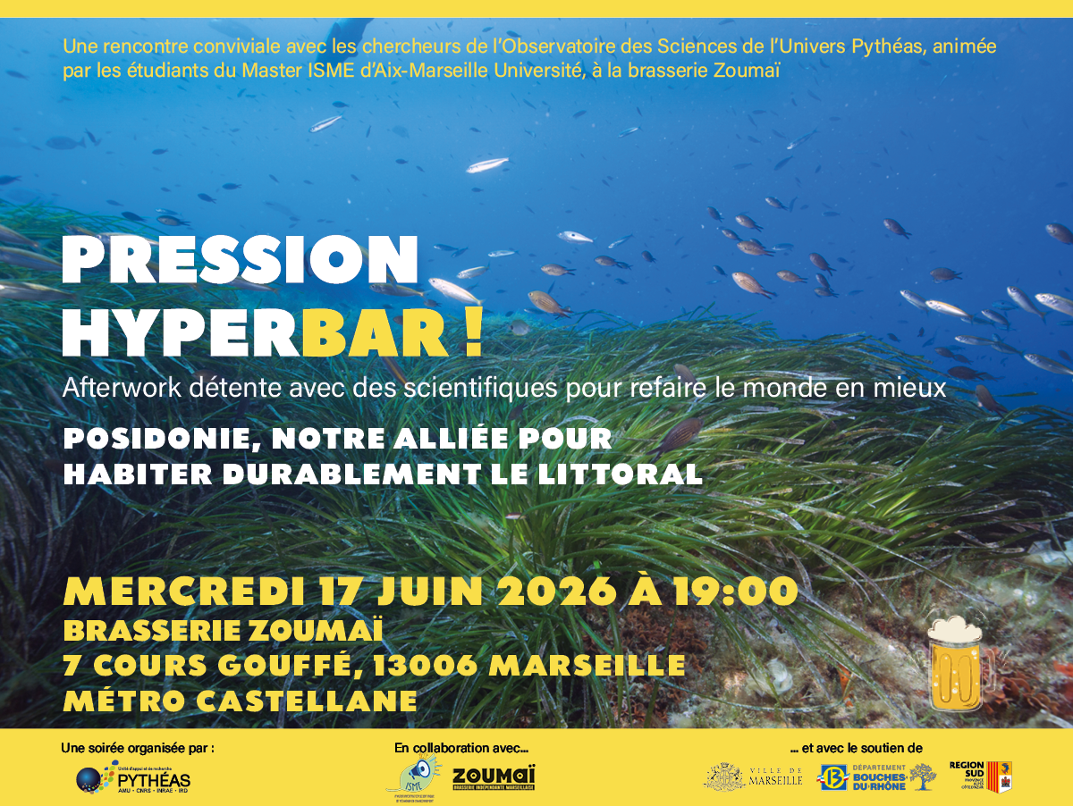 Pression HyperBar ! Posidonie, notre alliée pour habiter durablement le littoral