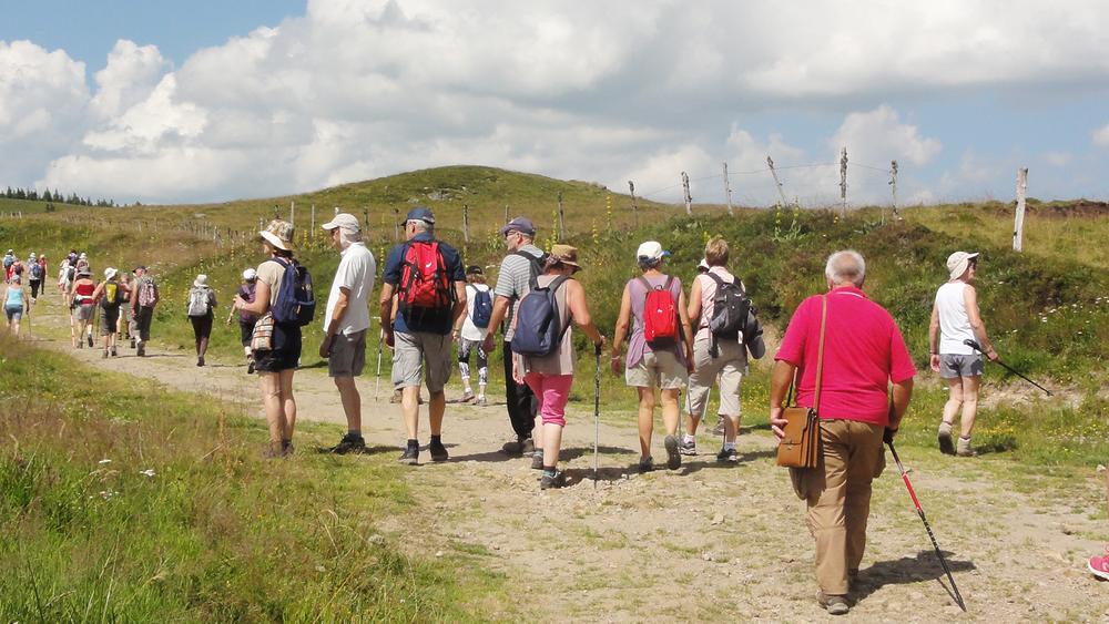 Les promenades du jeudi : la contemplative