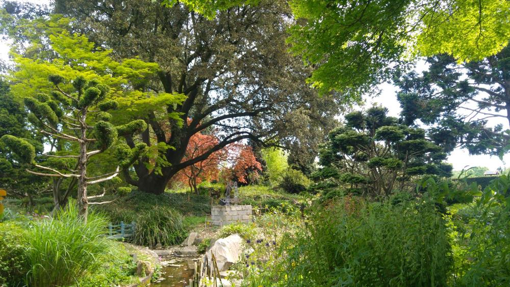 jardin japonais de l'école du Breuil 