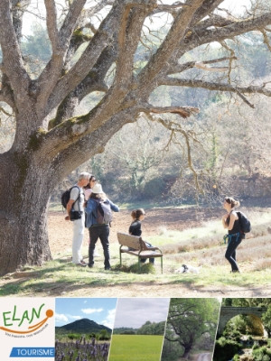 ELAN Jouques, Jouques - photo 5