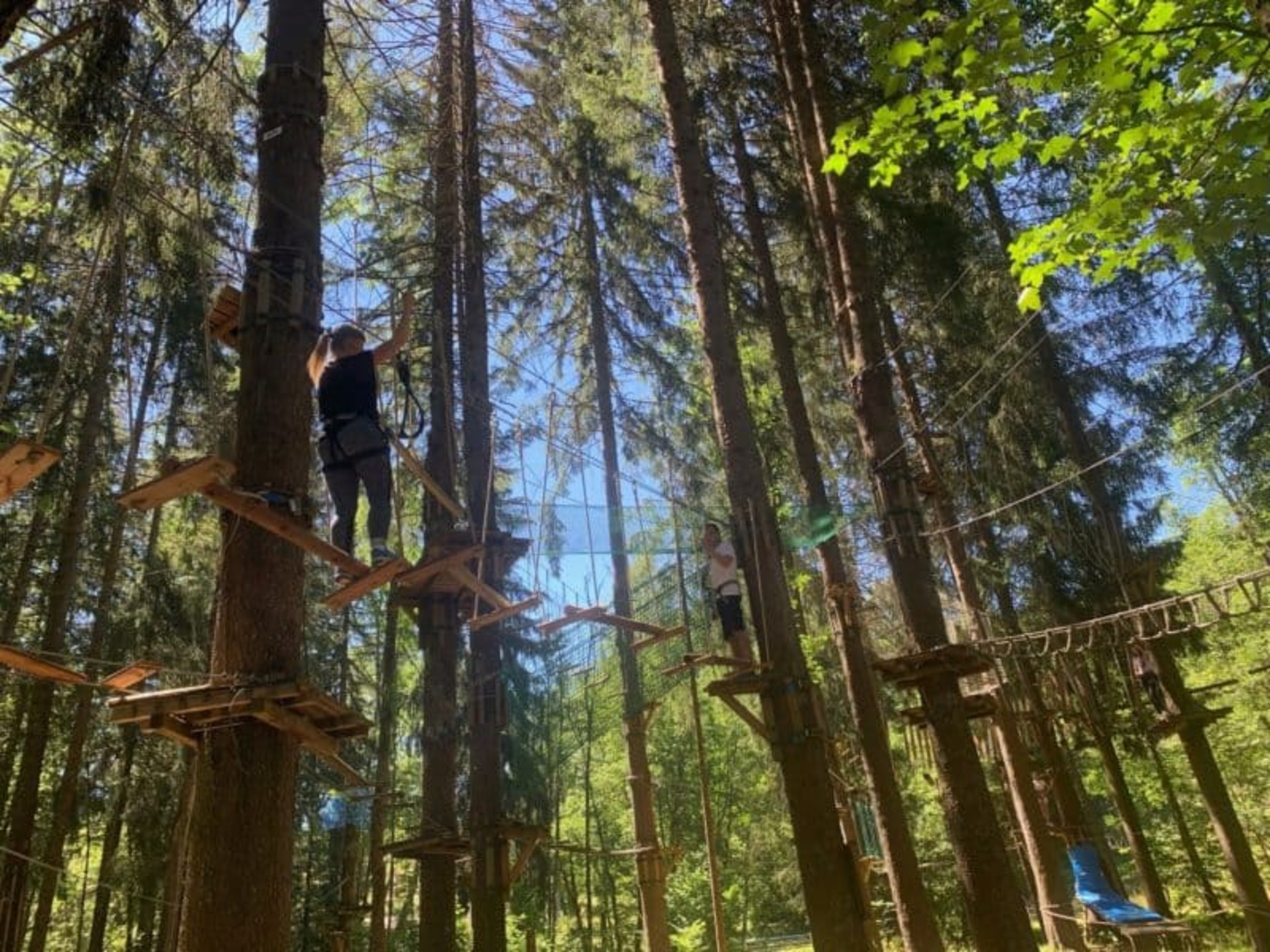 Filets dans les arbres - La Croix de Bauzon