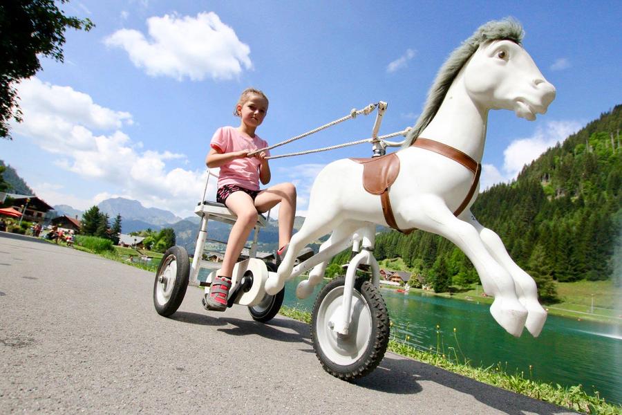 Hire of small pedal horses