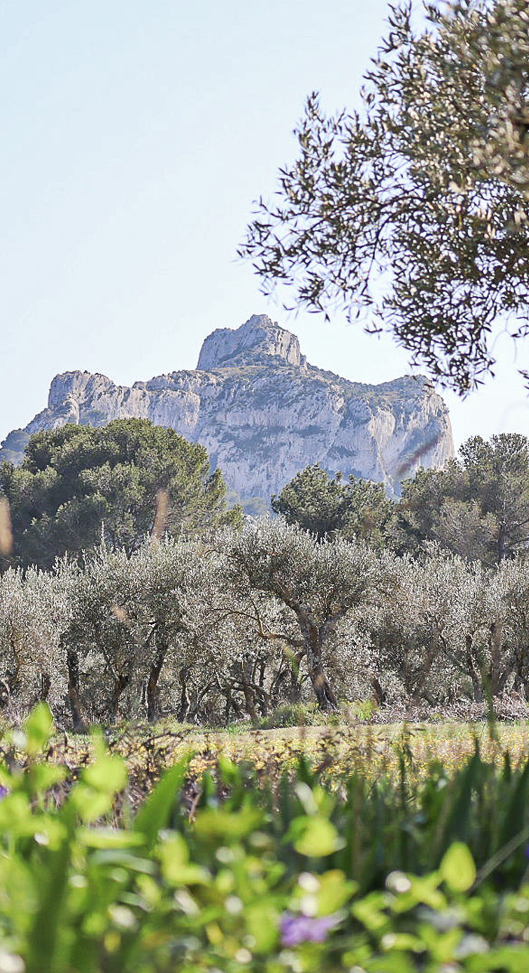 Mont Gaussier - photo 3