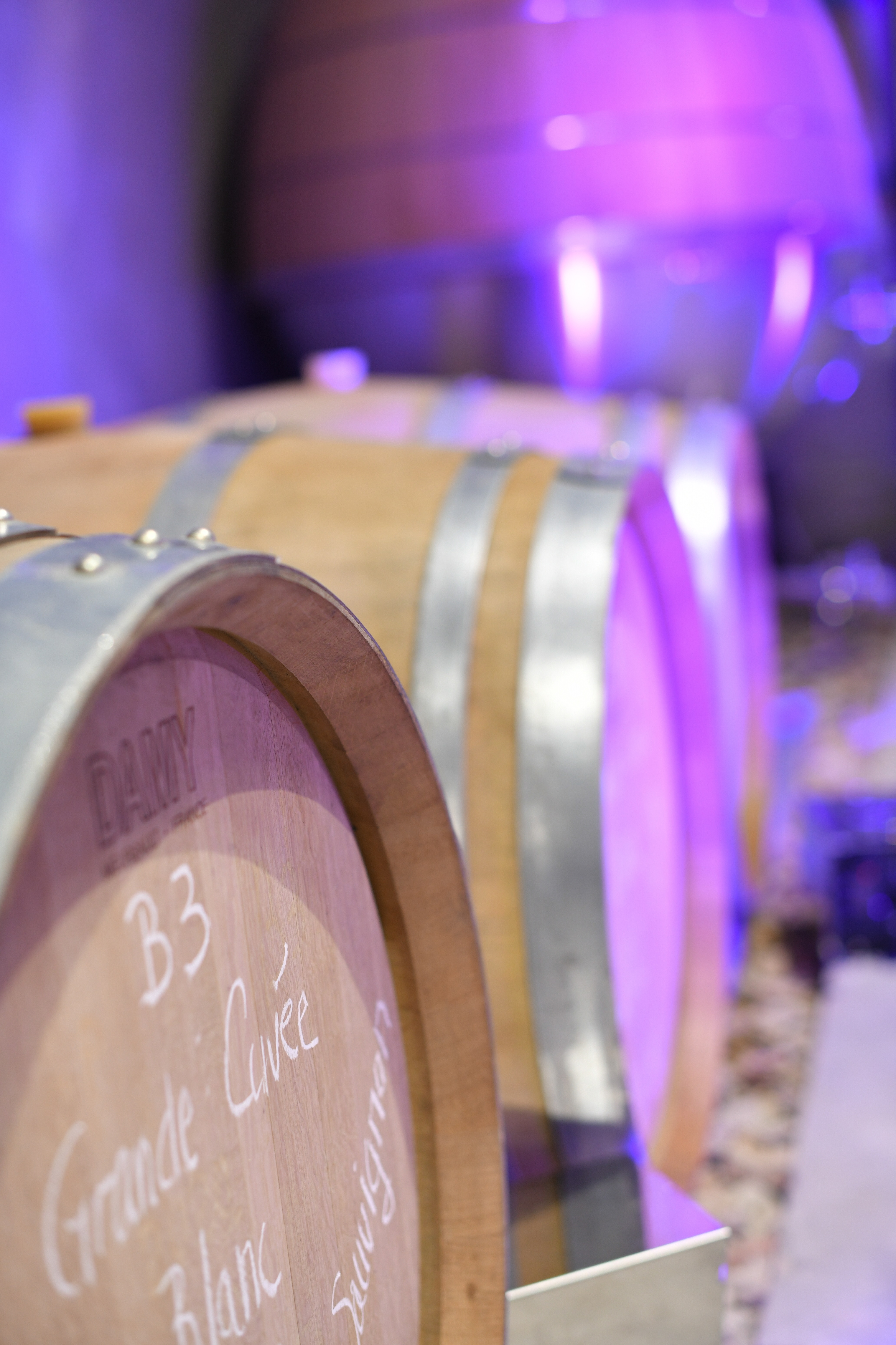 Domaine Tour Campanets — photo 2
