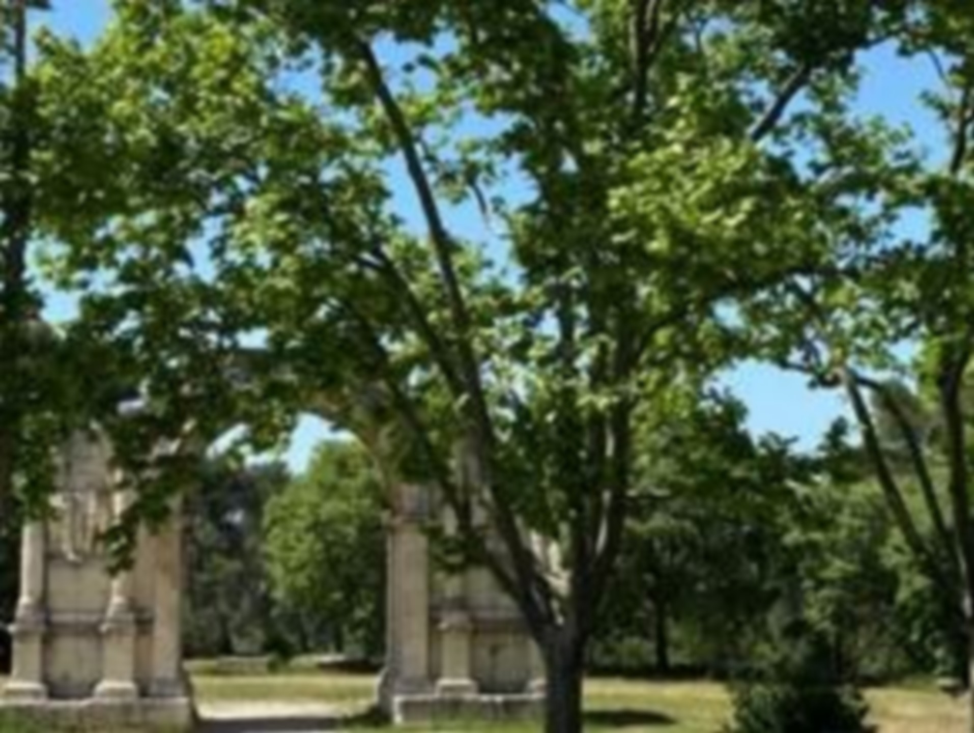 French Connection Provence