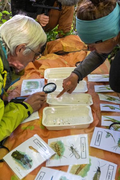 À Fleurs de Montagne_Saint-Jean-d'Hérans