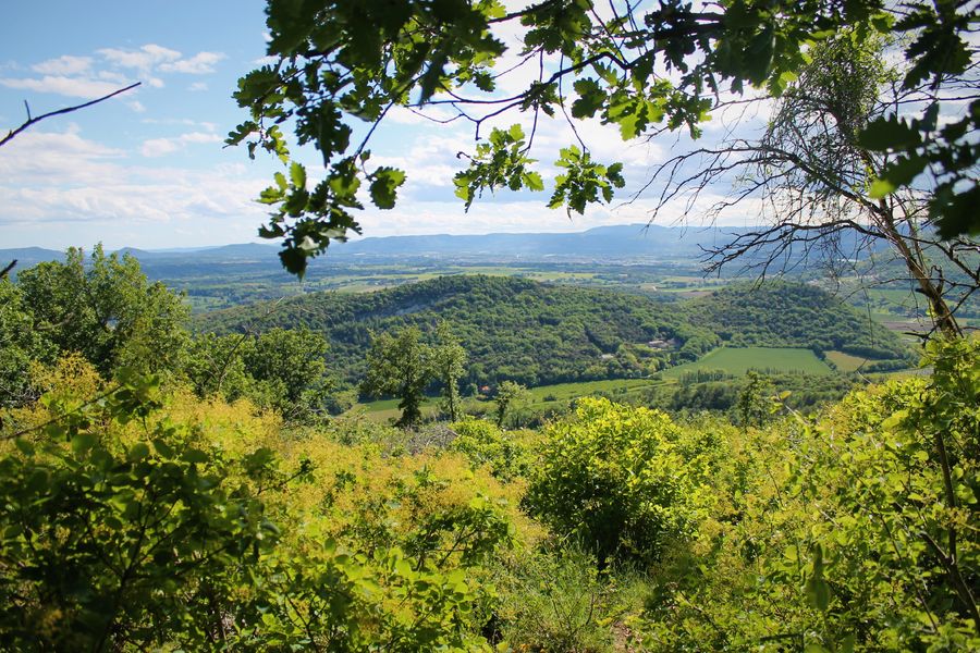 Vue du Rocher
