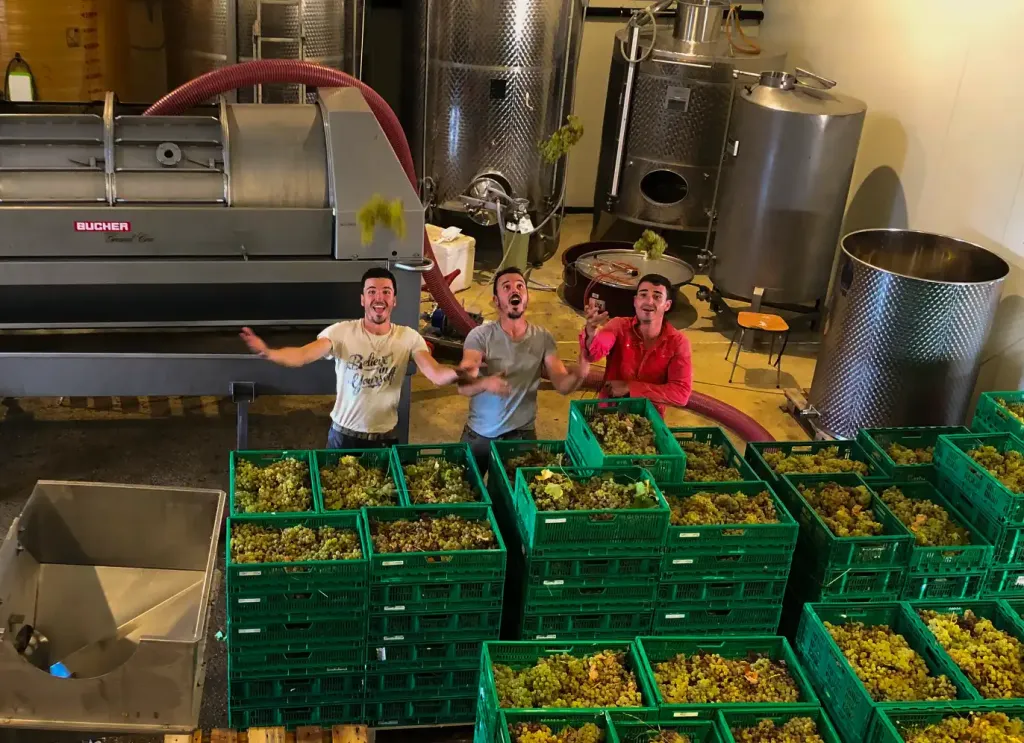 Domaine du Coffre, Pertuis - photo 3