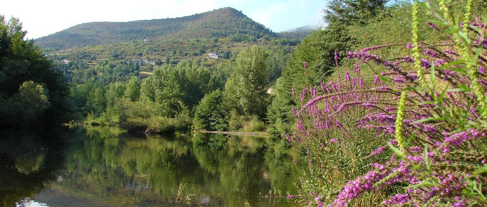 Aire de service camping-car au camping le Mas du Serre